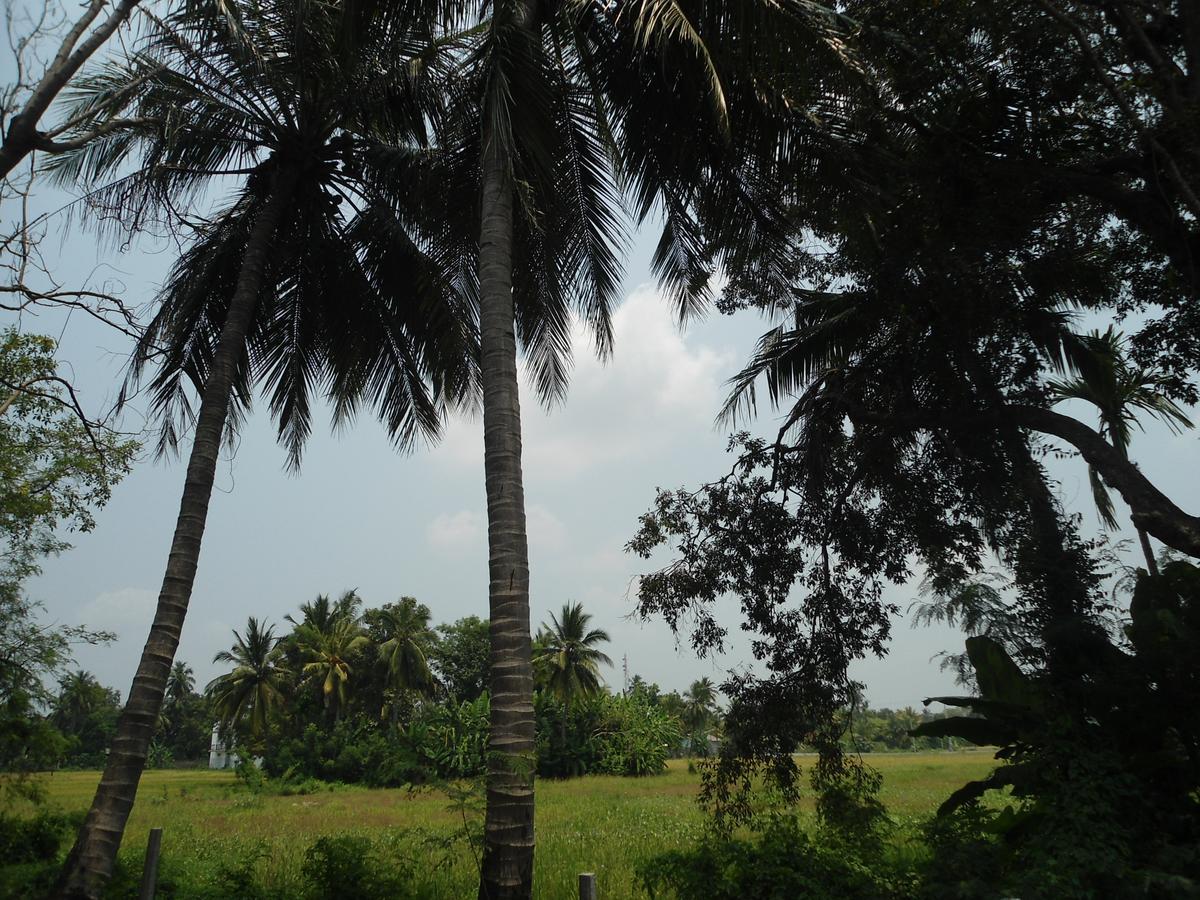 Villa Ravichini Polonnaruwa Exterior photo